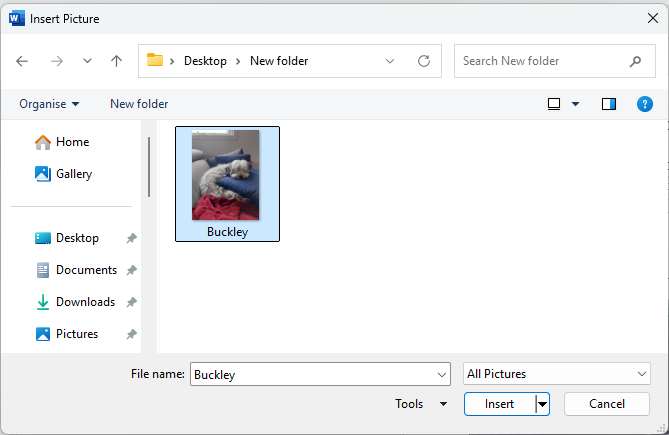 Insert picture image browse window